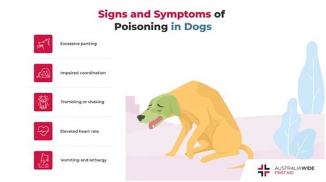 poisoning in dogs.